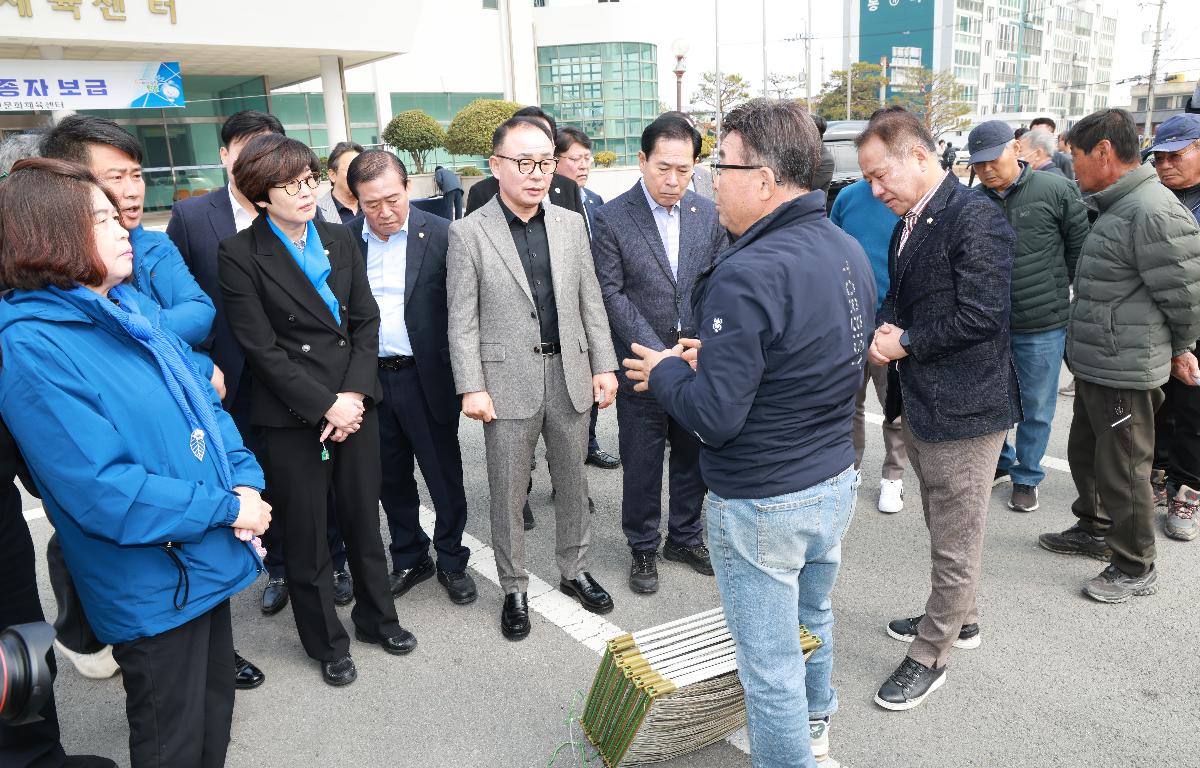 가이식 없는 종자 이식을 위한 다시마 종자 본양성 시범사업 첨부이미지 : 1U7A8068.JPG