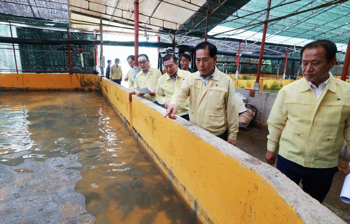고수온에 따른 양식현장 방문차  첨부이미지 : 1U7A6063.JPG