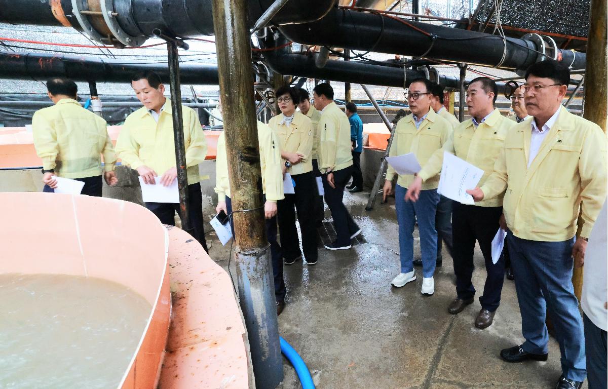 고수온에 따른 양식현장 방문차  첨부이미지 : 1U7A5966.JPG