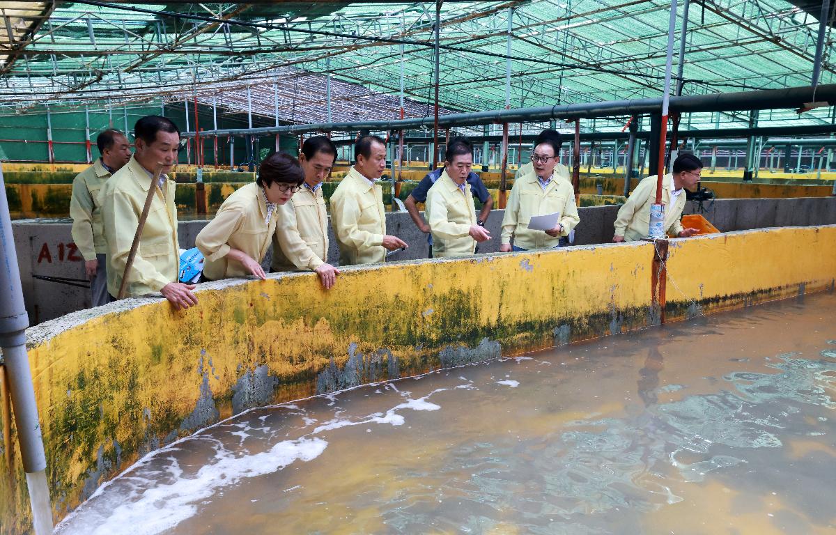 고수온에 따른 양식현장 방문차  첨부이미지 : 1U7A6073.JPG