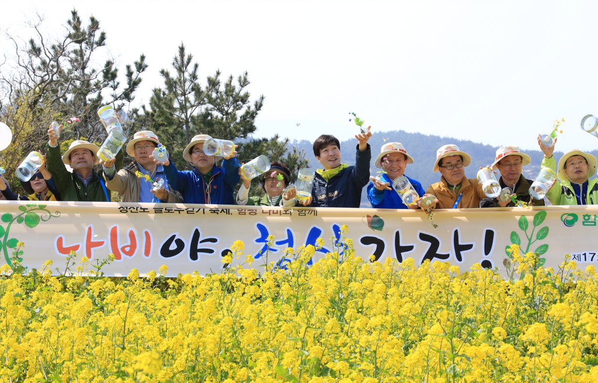 2015청산도 슬로 걷기 축제 공식 행사 첨부이미지 : KK0A3527.JPG