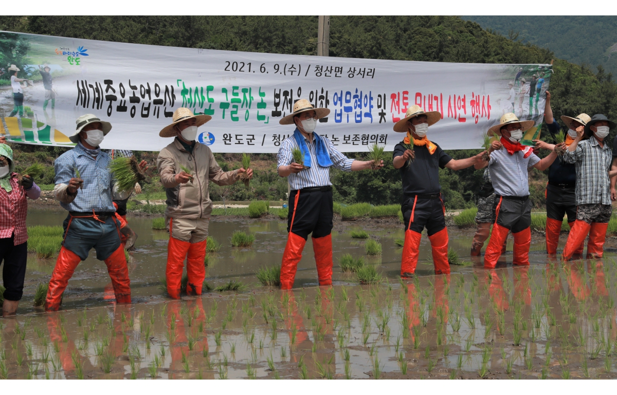 세계중요농업유산 청산도 구들장 논 보전을 위한 업무협약 및 전통 모내기 시연행사 첨부이미지 : 세계중요농업유산 청산도 구들장 논 보전을 위한 업무협약 및 전통 모내기 시연행사.jpg