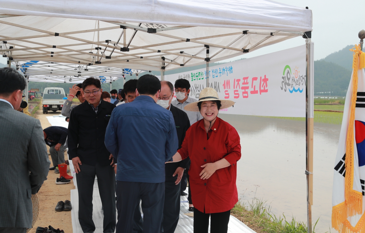 최고품질 쌀 생산 시범 이양연시회 첨부이미지 : 20200602 최고품질 쌀 이양연시회 (2).JPG