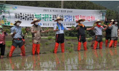 세계중요농업유산 청산도 구들장 논 보전을 위한 업무협약 및 전통 모내기 시연행사